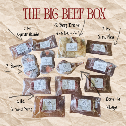 The Big Beef Box